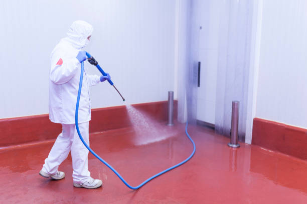 Best Building Exterior Washing  in Brisbane, CA